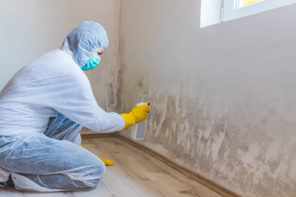 Licensed Bathroom Mold Removal service in Westwood, MI - WQB Mold Removal