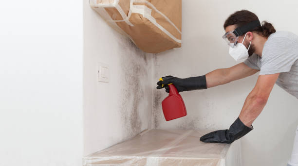 Professional Bathroom Mold Removal technician working in Westwood, MI
