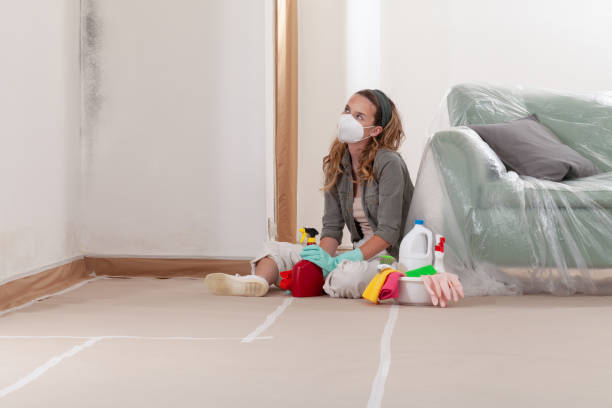 Reliable Bathroom Mold Removal contractor in Westwood, MI by WQB Mold Removal
